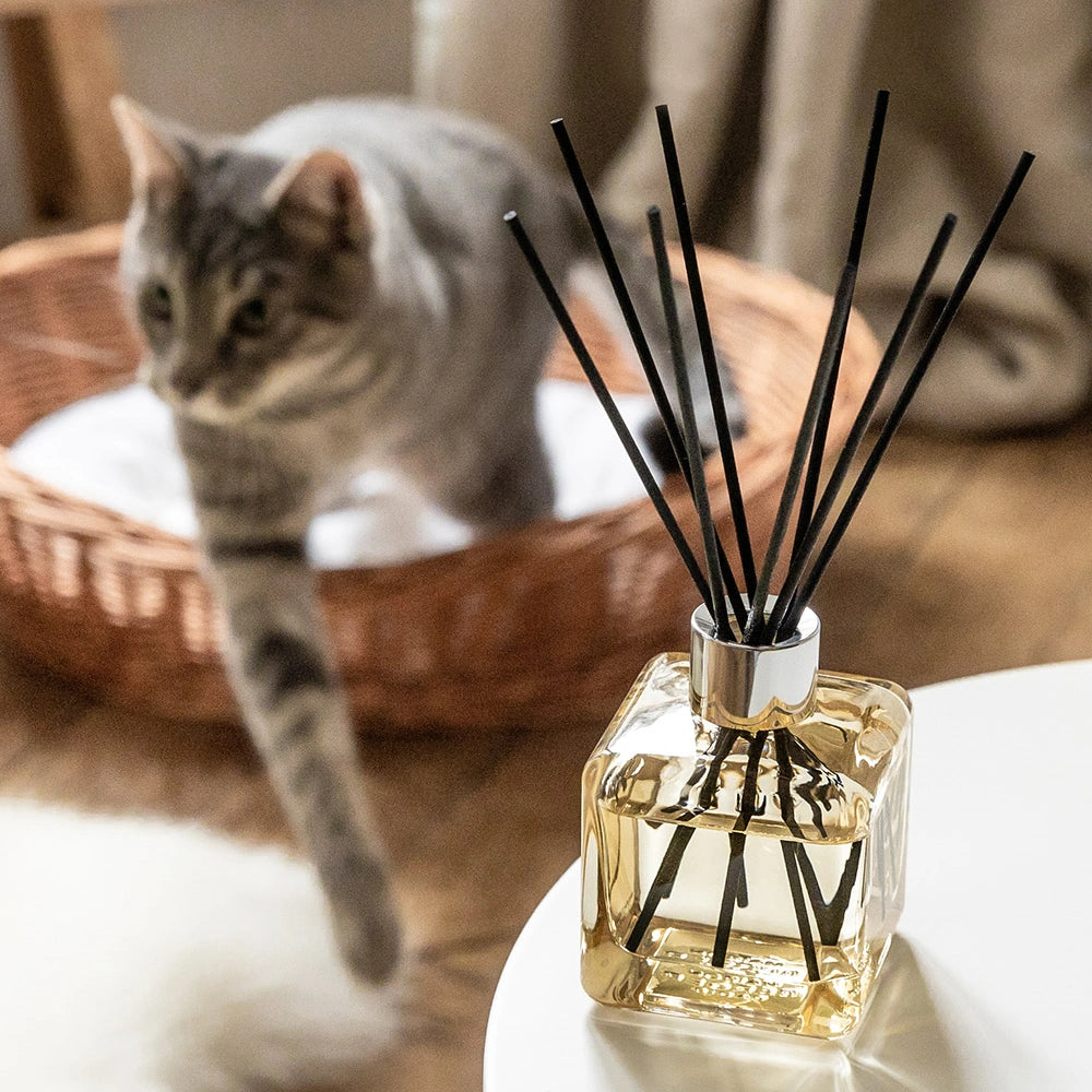 Exquisite Sparkle Clear Cube Scented Bouquet Diffuser