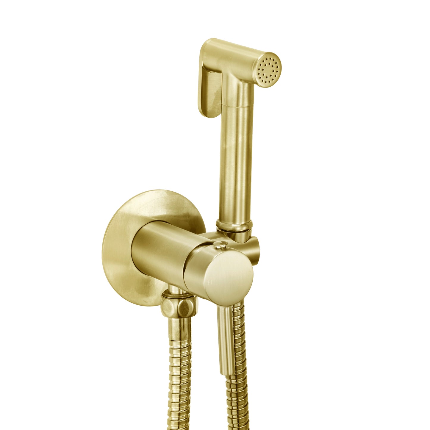 Douche Handset, Flexi Hose, Holder and Outlet