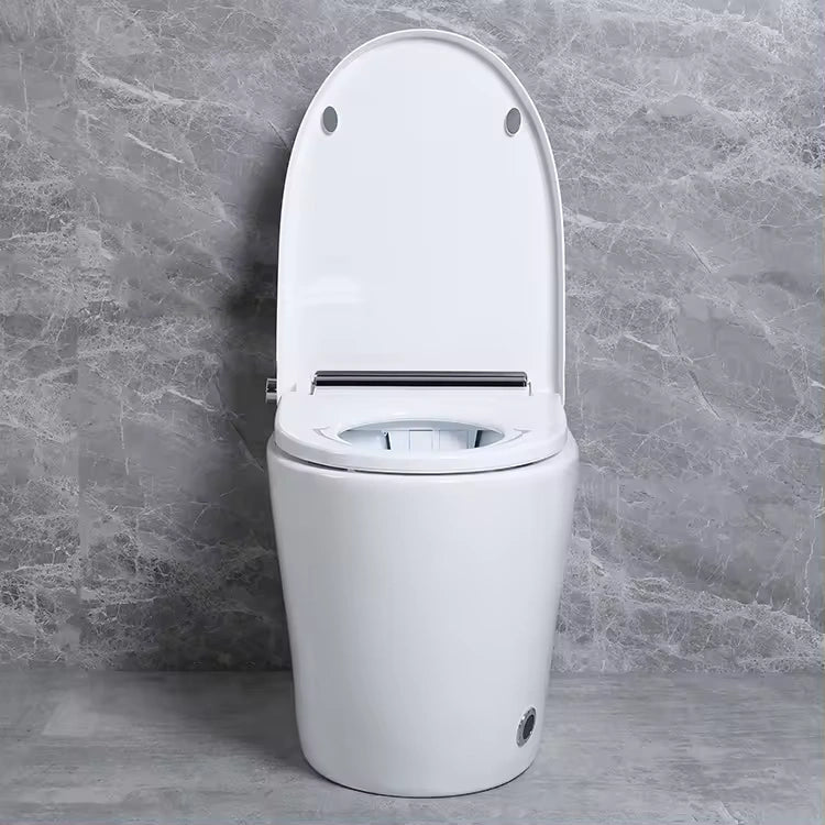 Shinpei Tank+ High-Tech All in One Japanese Style Smart Toilet & Bidet