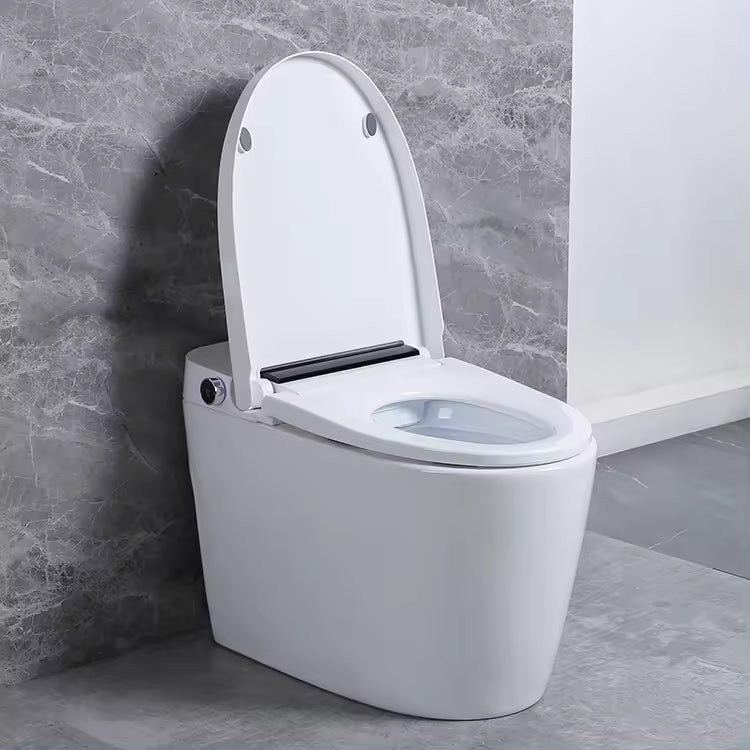 Shinpei Tank+ High-Tech All in One Japanese Style Smart Toilet & Bidet