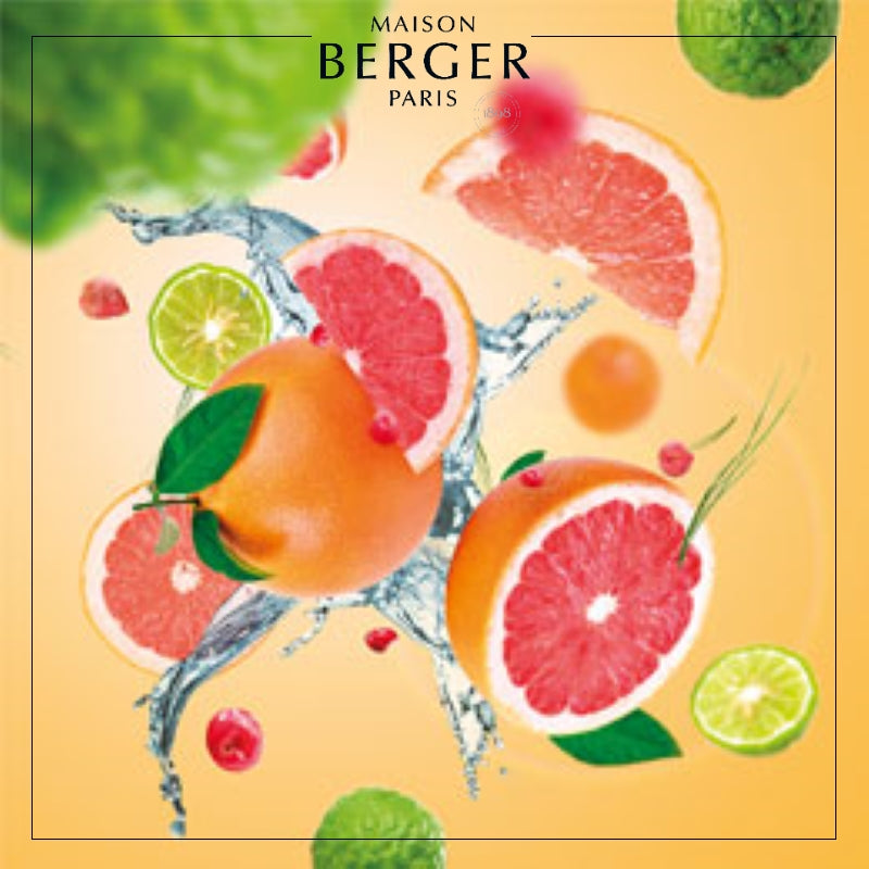 Mrs. Scented Candle - Citrus Breeze