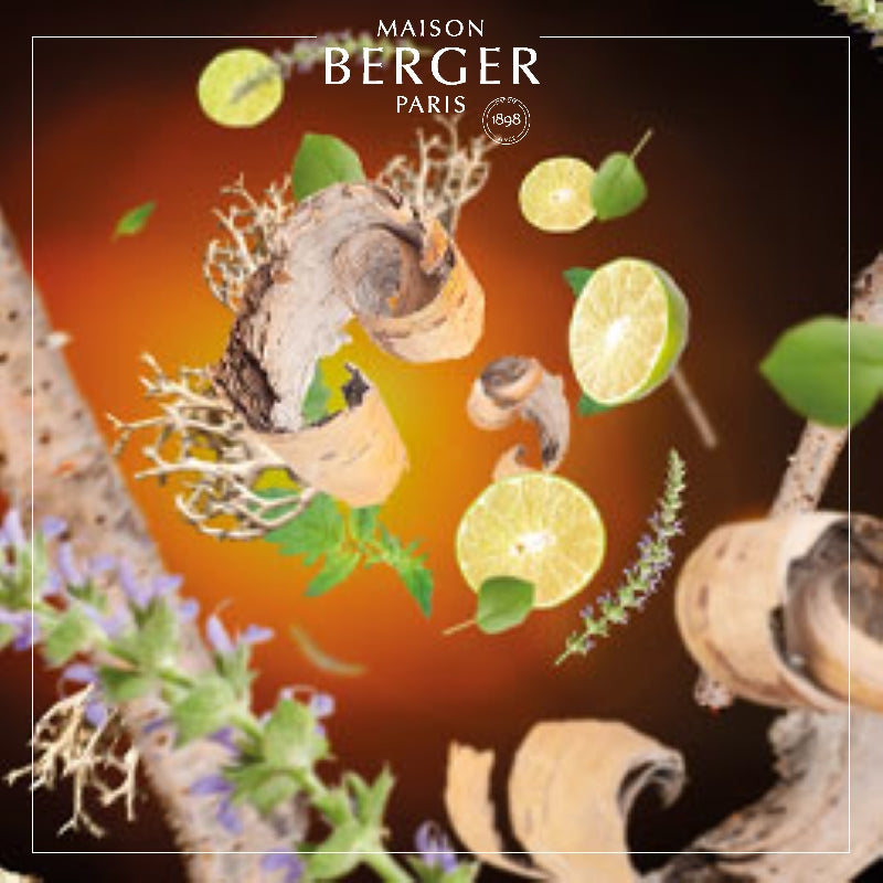 Prism Red Lampe Berger Gift Set