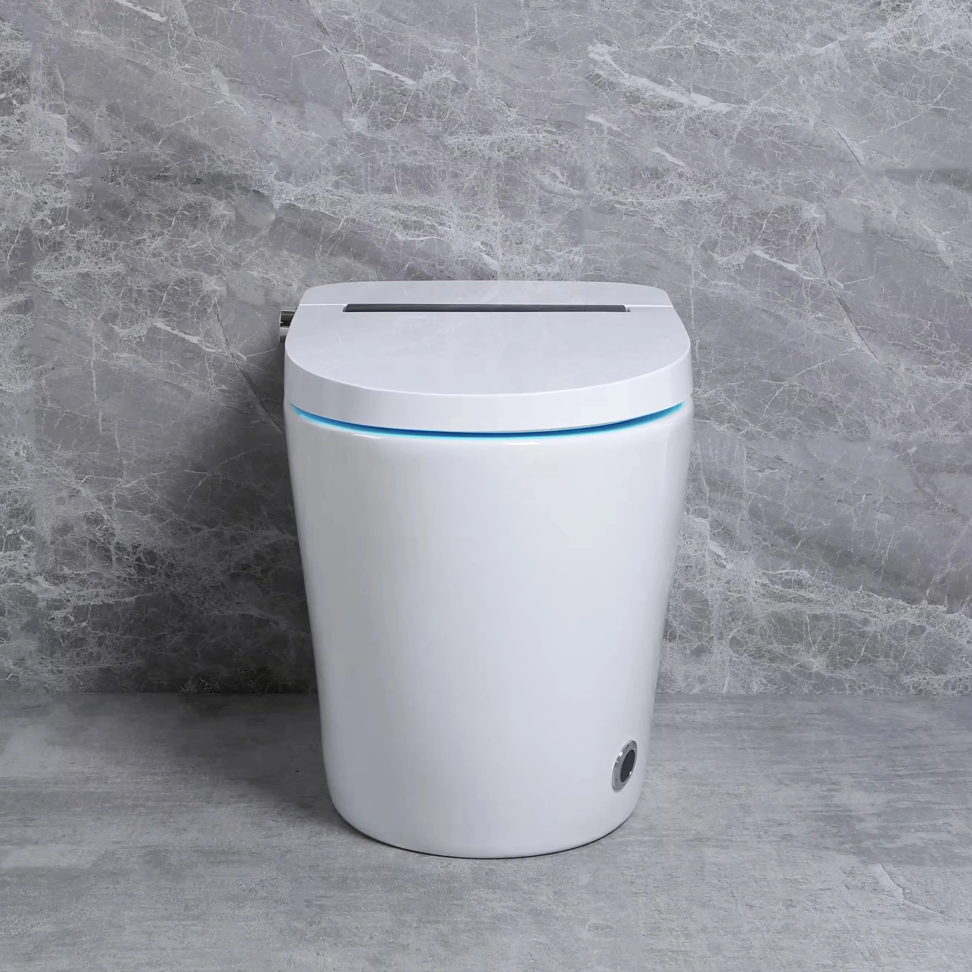 Shinpei Tank+ High-Tech All in One Japanese Style Smart Toilet & Bidet