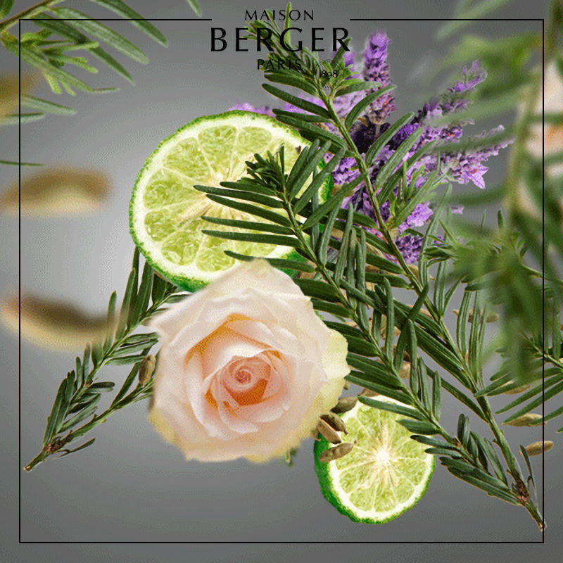 Tobacco Anti-Odour Clear Cube Scented Bouquet
