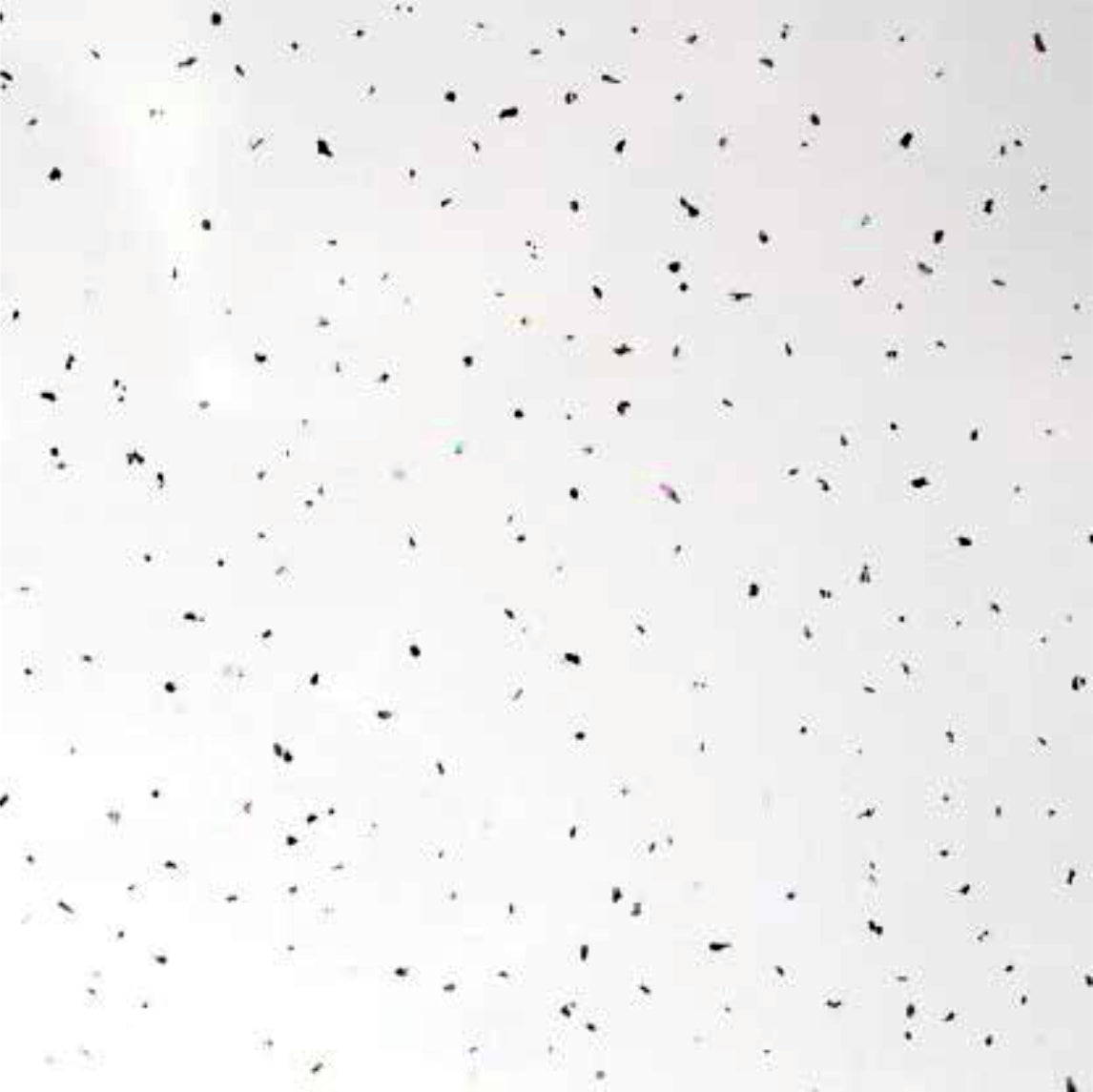 Maxplas Arctic Sparkle Bathroom Wall Panel 2.4m x 1m