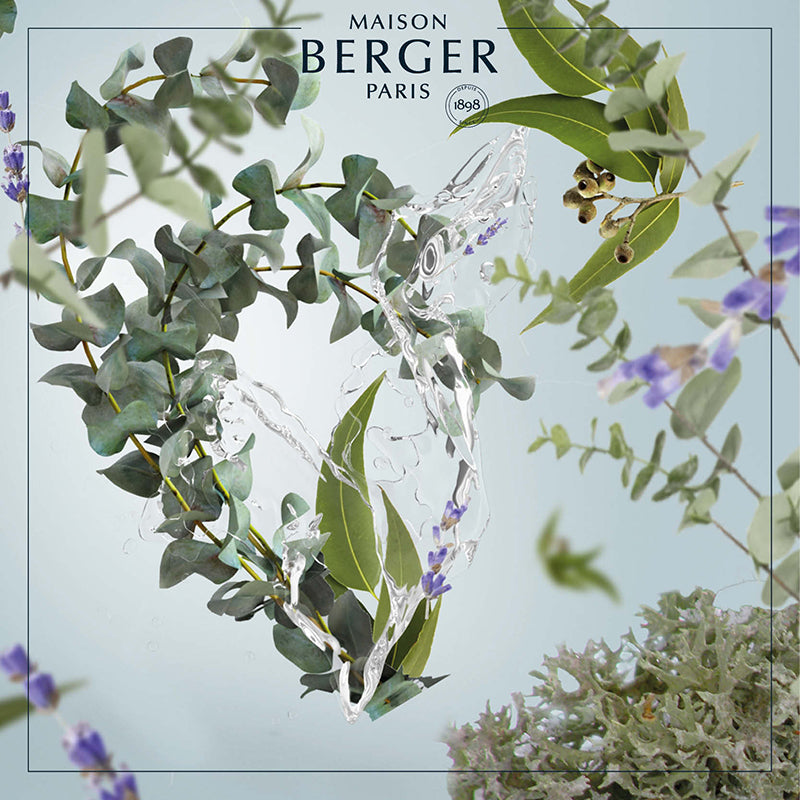 Fresh Eucalyptus Clear Cube Scented Bouquet
