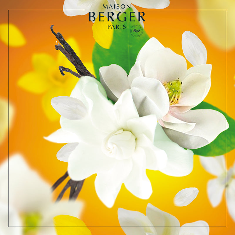Heavenly Sun Cube Scented Bouquet