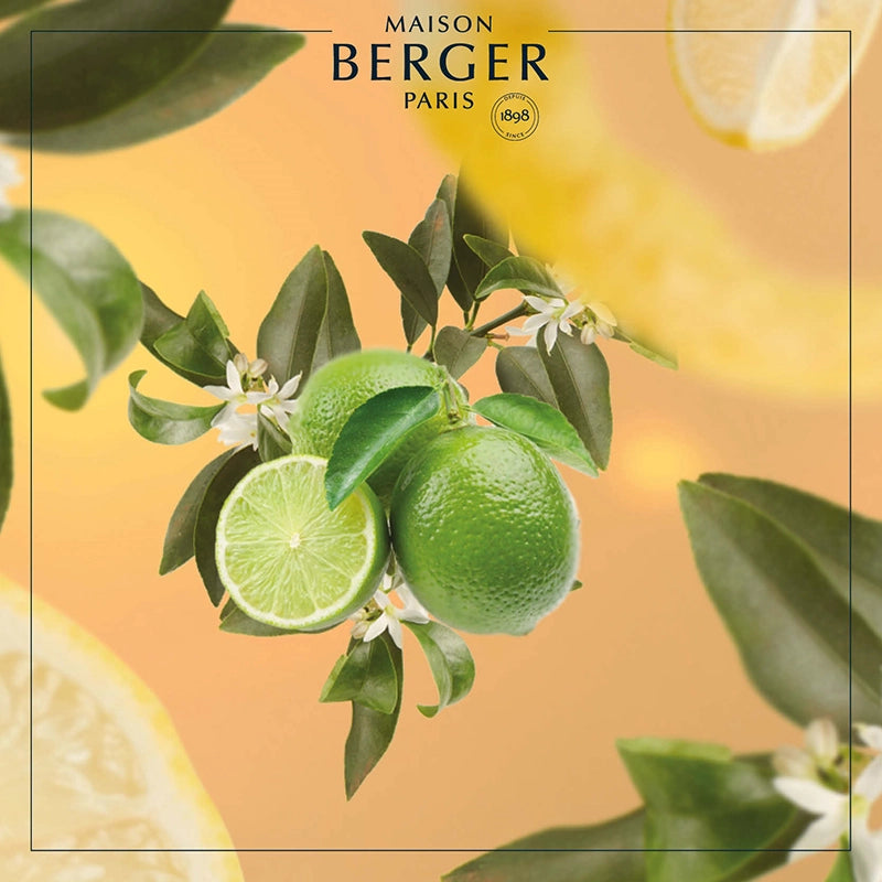 Lemon Flower Lamp Refill 500ml - Maison Berger Paris