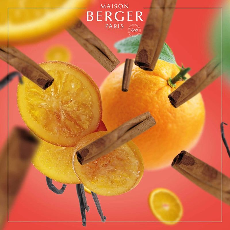 Orange Cinnamon Bouquet Refill - Maison Berger Paris