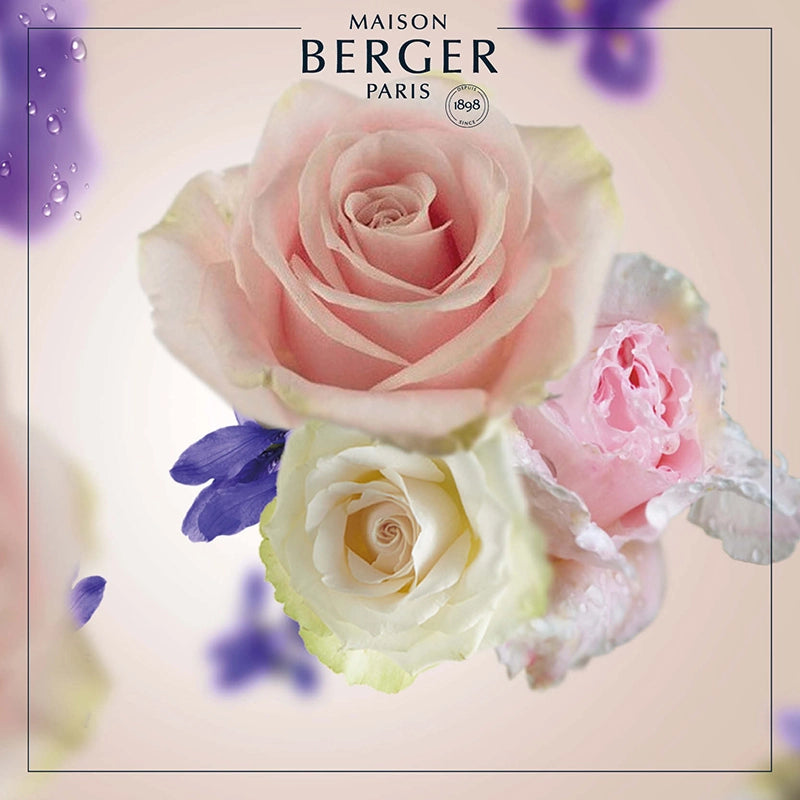 Paris Chic Lamp Refill - Maison Berger Paris