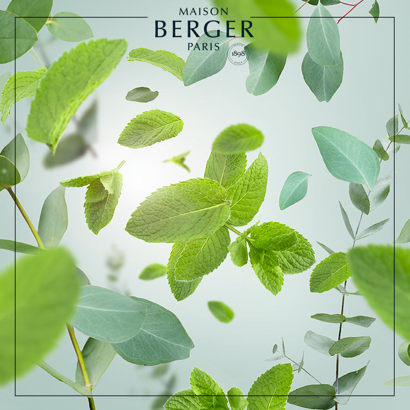 Aroma Respire Lamp Refill - Maison Berger Paris