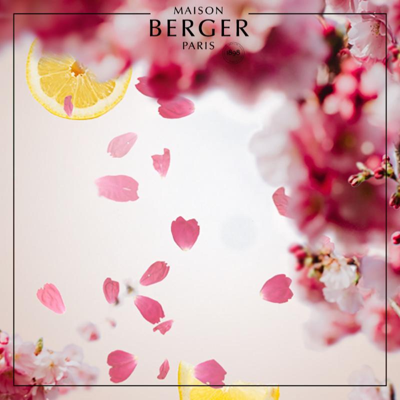 Cherry Blossom Lamp Refill - Maison Berger Paris