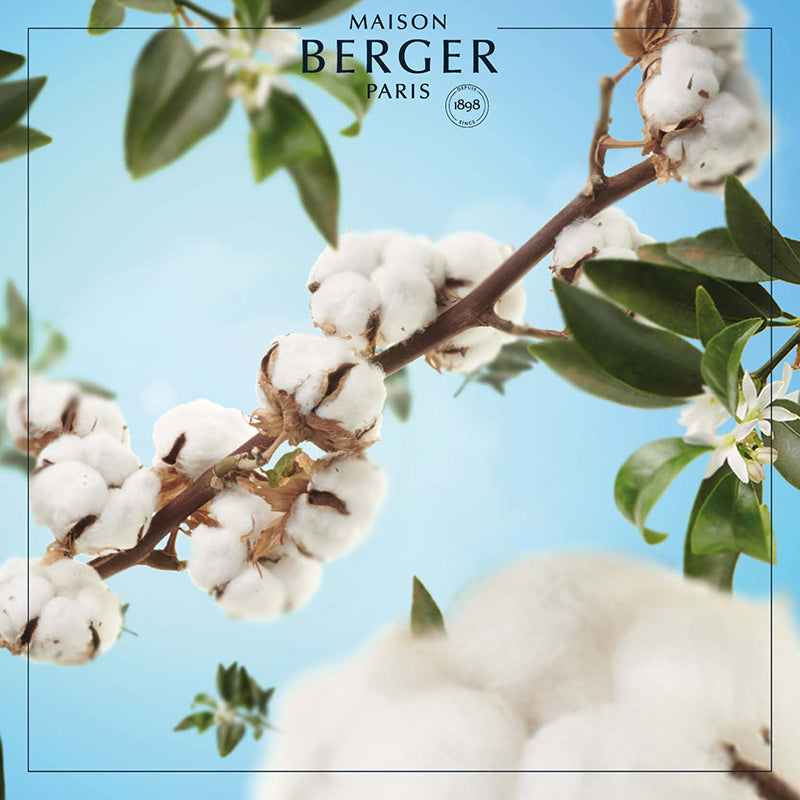 Cotton Caress Lamp Refill - Maison Berger Paris