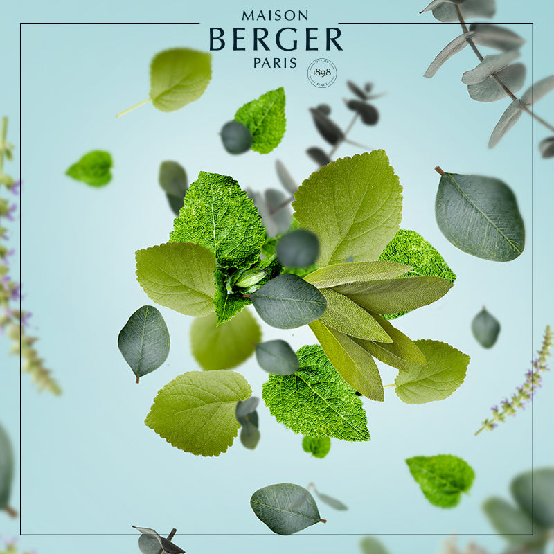 Eternal Sap Bouquet Refill 200ml - Maison Berger Paris