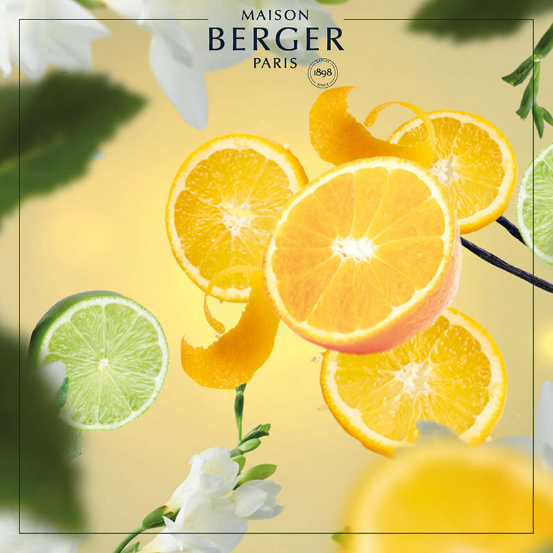 Extreme Orange Lamp Refill - Maison Berger Paris