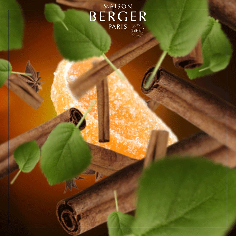 Festive Cinnamon Lamp Refill - Maison Berger Paris