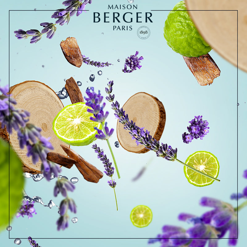 Fresh Wood Bouquet Refill 200ml - Maison Berger Paris