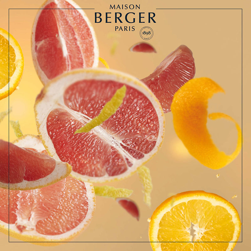 Grapefruit Passion Lamp Refill - Maison Berger Paris