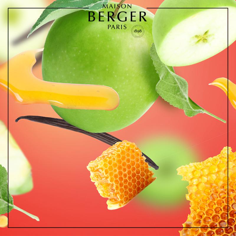 Honey Gourmand Lamp Refill - Maison Berger Paris