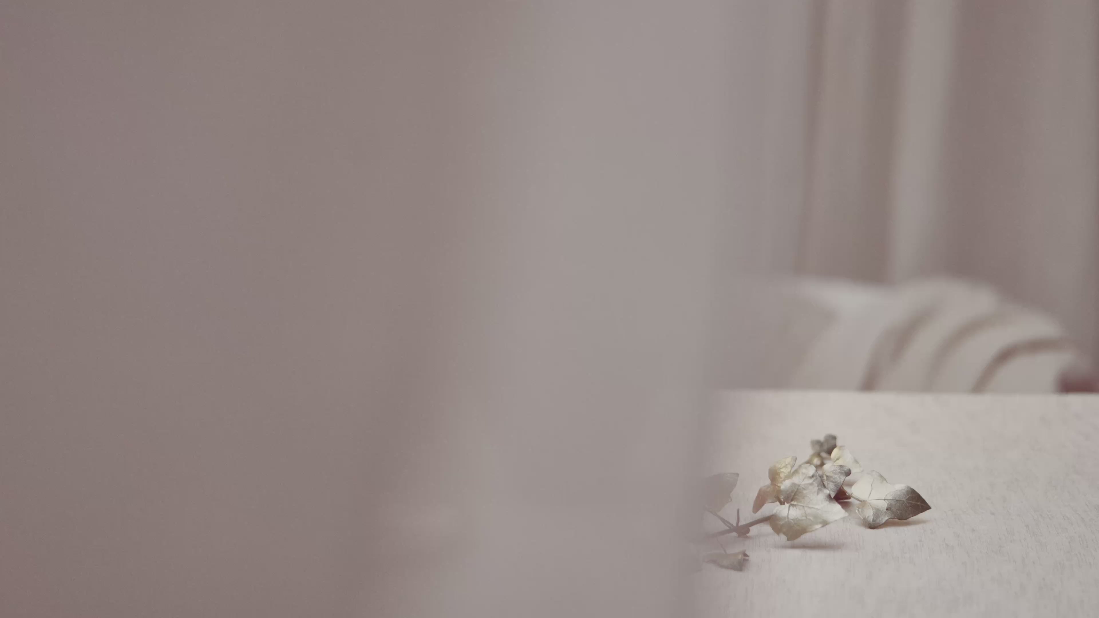 Lolita Lempicka Sweet Lamp Berger Gift Set