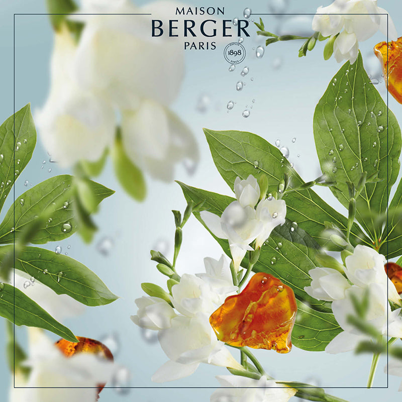 Summer Rain Lamp Refill 500ml - Maison Berger Paris