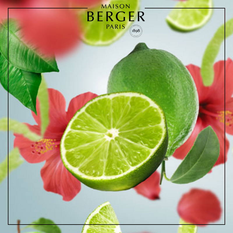 Tahitian Green Zest Bouquet Refill 200ml - Maison Berger Paris