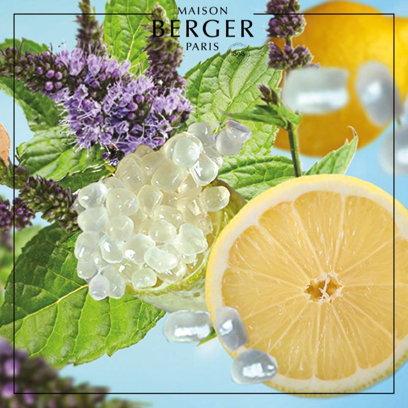 Tonic Lemon Lamp Refill - Maison Berger Paris
