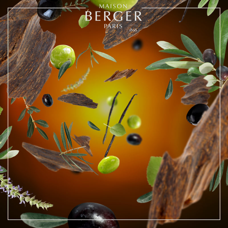 Under the Olive Tree Lamp Refill - Maison Berger Paris