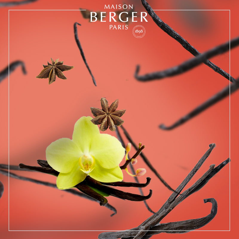 Vanilla Gourmet Bouquet Refill 200ml - Maison Berger Paris