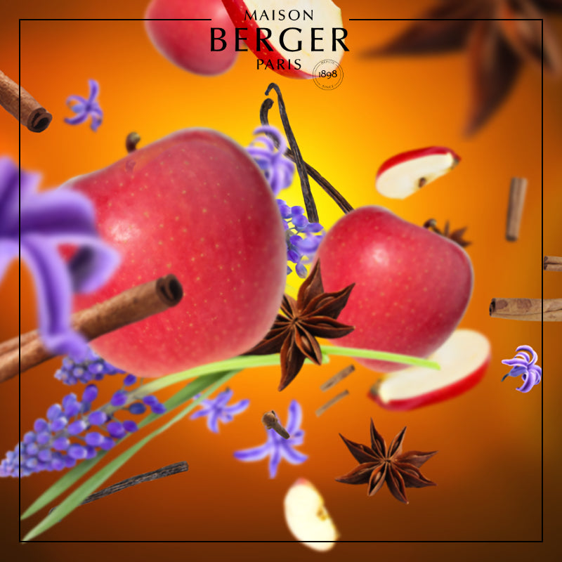 Winter Joy Lamp Refill - Maison Berger Paris