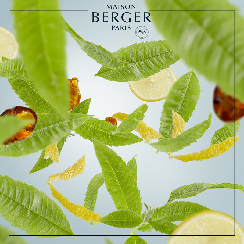 Zest of Verbena Bouquet Refill - Maison Berger Paris