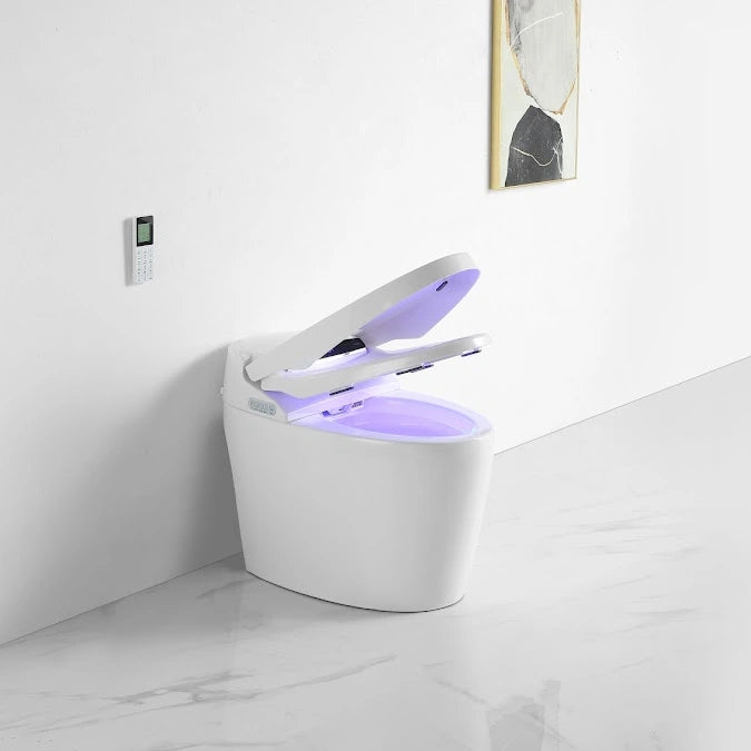 Kushiro Luxury High-Tech Japanese Style Smart Toilet & Bidet