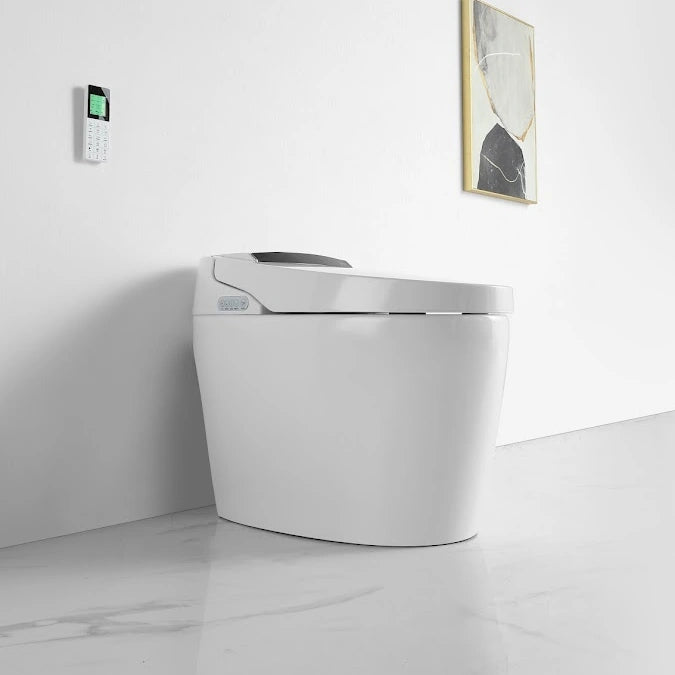 Kushiro Luxury High-Tech Japanese Style Smart Toilet & Bidet