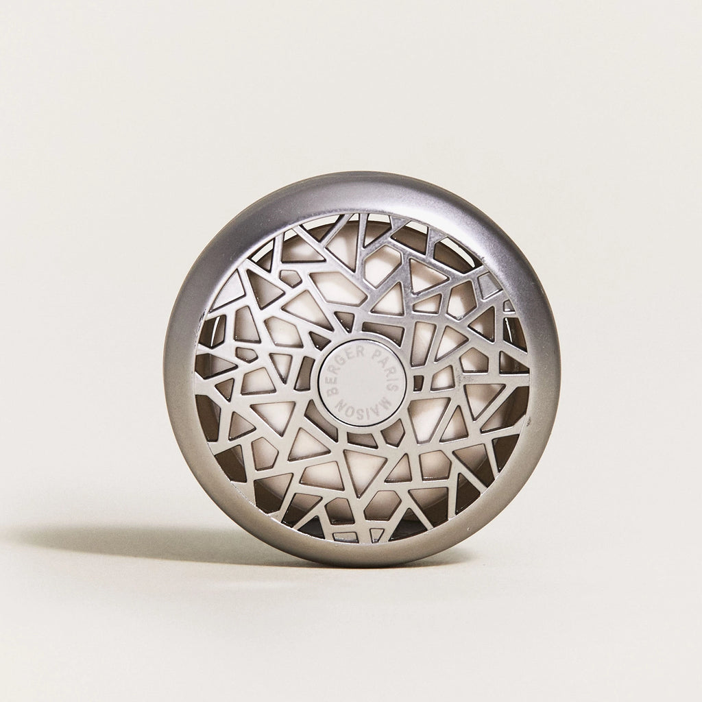 Savory Tangerine Revelry Car Diffuser