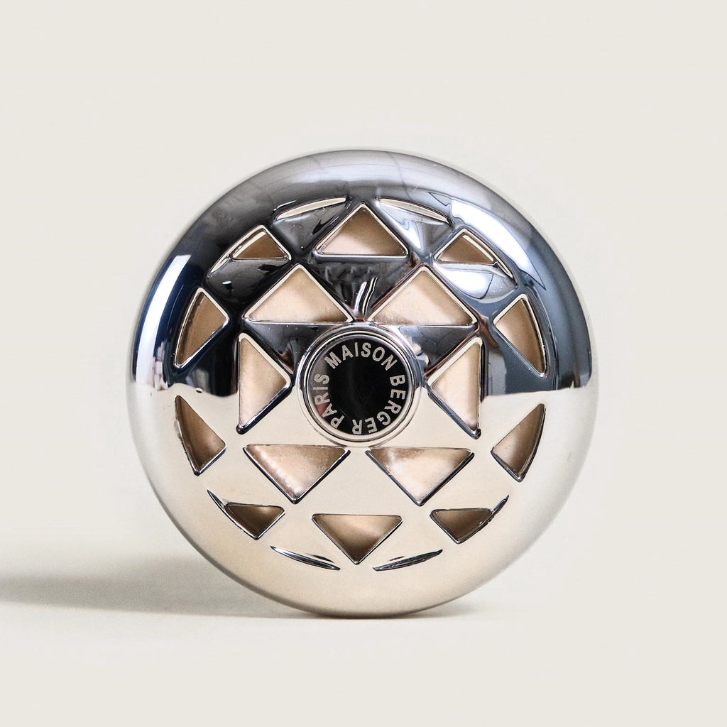 Joy Agaves Garden Car Diffuser Gift Set