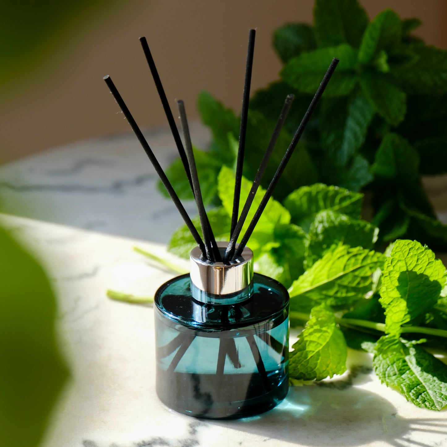 Summer Water Mint Mini Scented Bouquet Diffuser