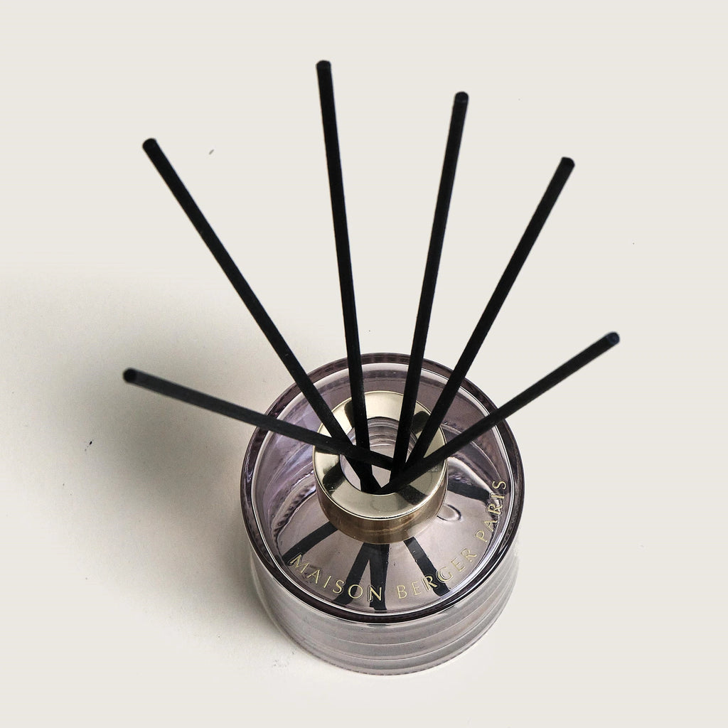 Rosalie Exquisite Sparkle Mini Bouquet & Home Spray Duo Gift Set