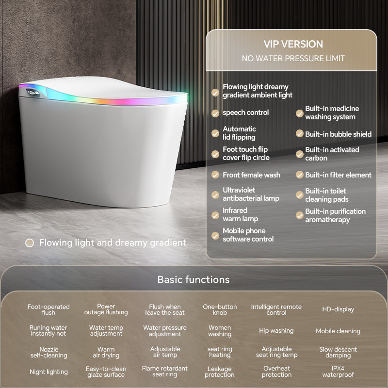 Niji Shima Rainbow Stripe Japanese Style Smart Toilet & Bidet