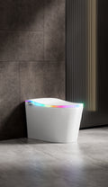 Niji Shima Rainbow Stripe Japanese Style Smart Toilet & Bidet
