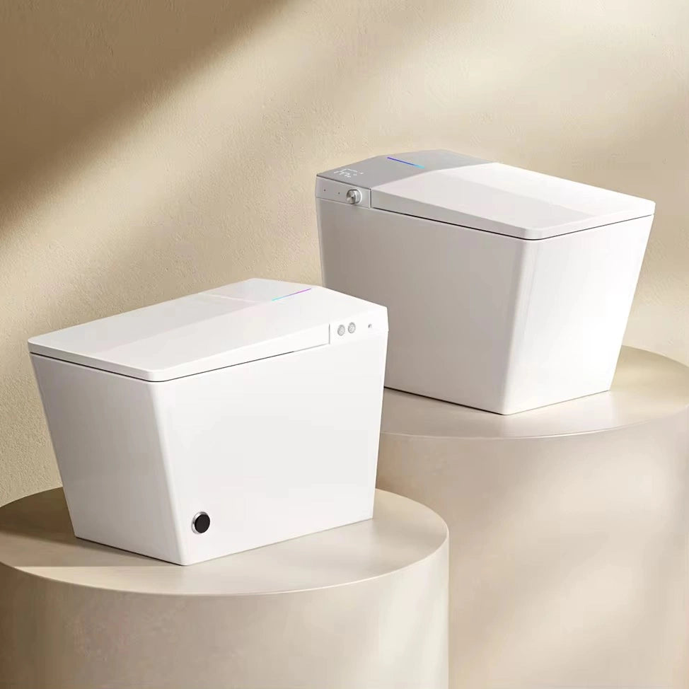 Mizu Tank+ High Tech Japanese Style Smart Toilet & Bidet