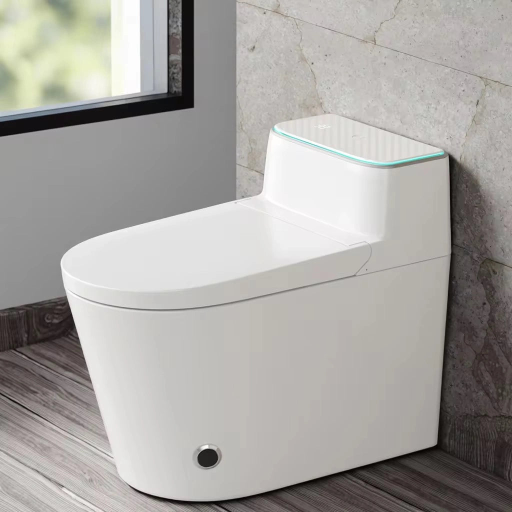 Shizuku Tank+ Sophisticated Japanese Style Smart Toilet & Bidet