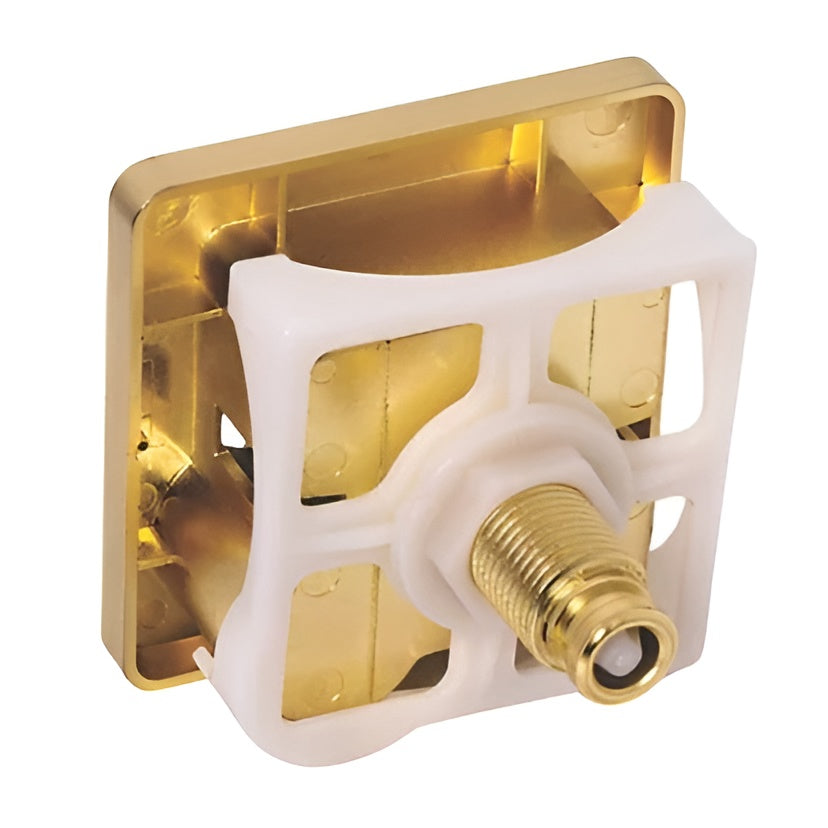 Square Brushed Brass Dual Flush Push Button & Plate