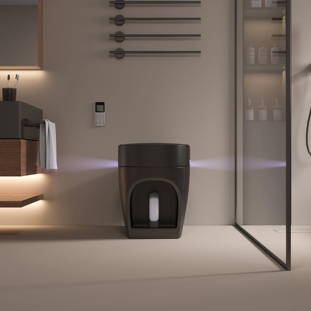 Black Kushiro Luxury High-Tech Japanese Style Smart Toilet & Bidet