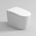 Junsui Japanese Style Toilet & Bidet (Non-Electic)