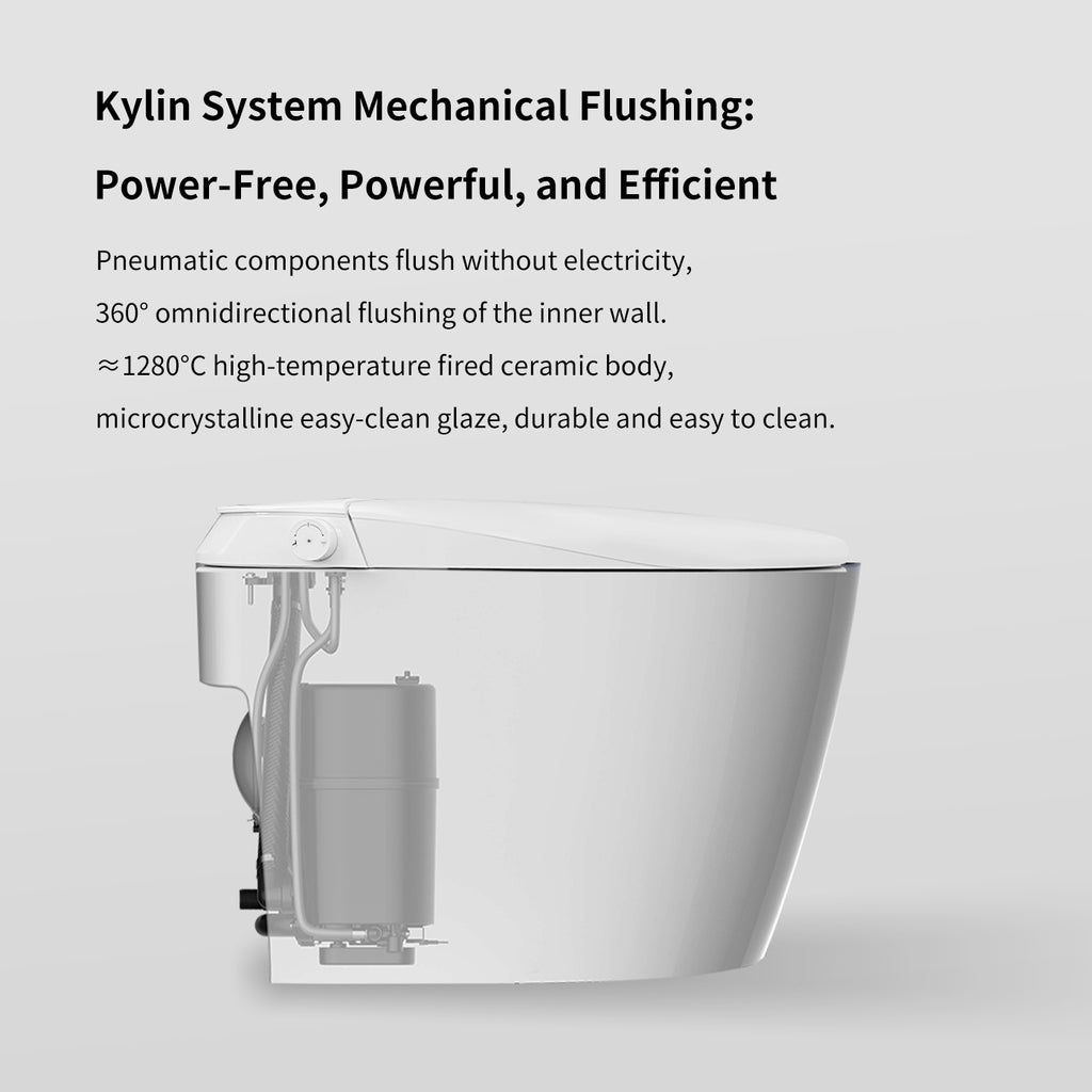 Junsui Japanese Style Toilet & Bidet (Non-Electic)