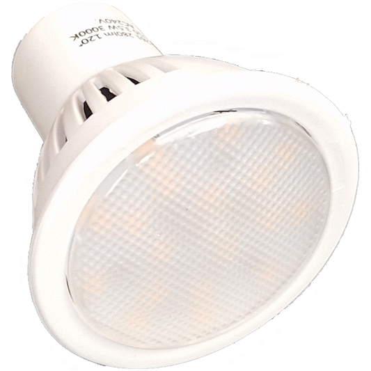 Warm White LED Light Bulb - PACK OF 10