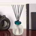 Frosted Mineral Scented Bouquet Diffuser Gift Set