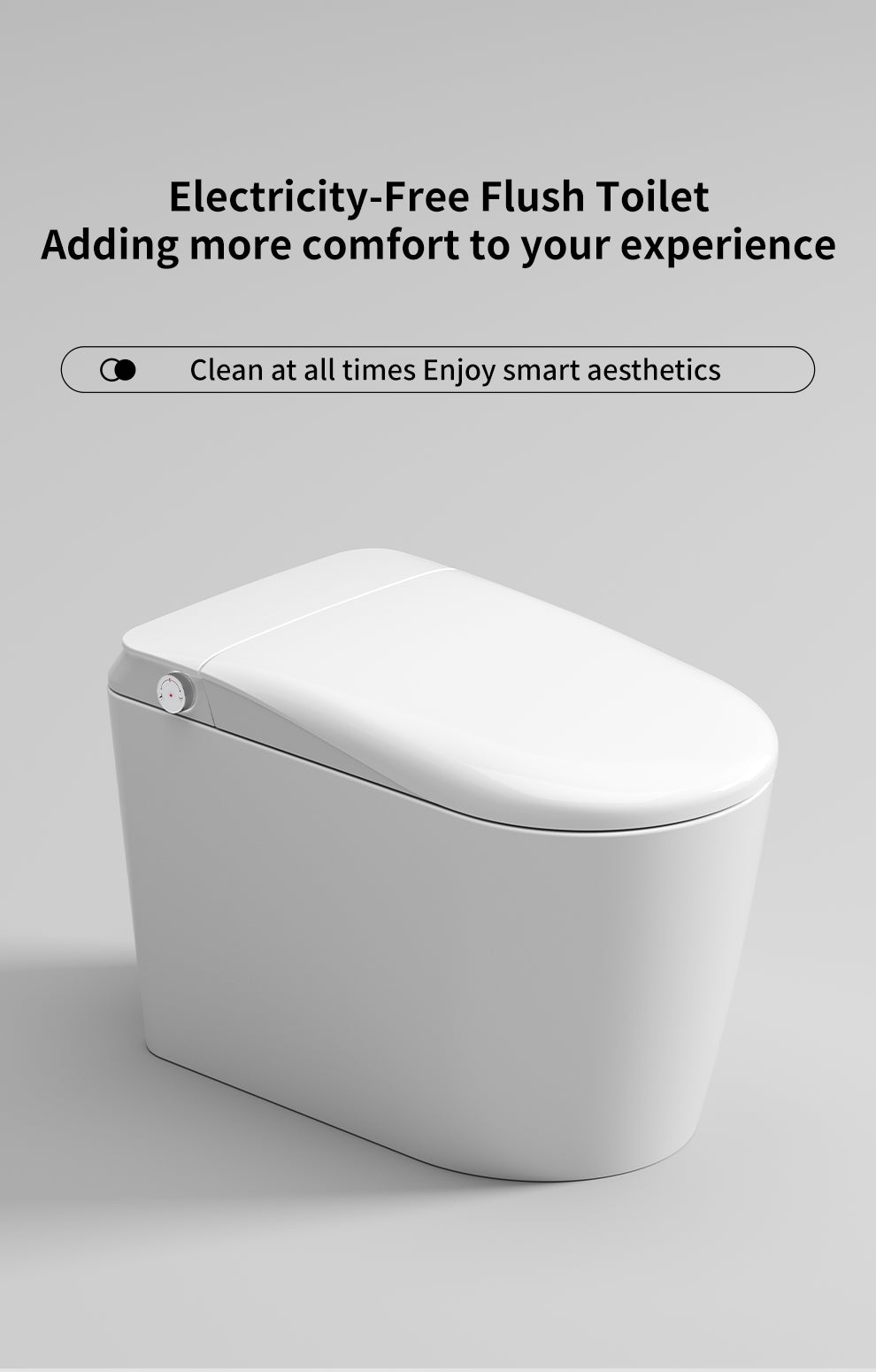Junsui Japanese Style Toilet & Bidet (Non-Electic)