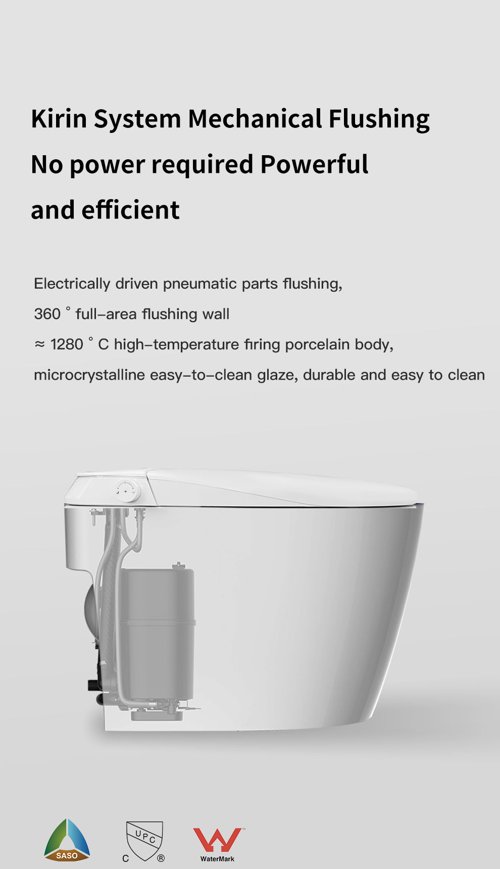 Junsui Japanese Style Toilet & Bidet (Non-Electic)