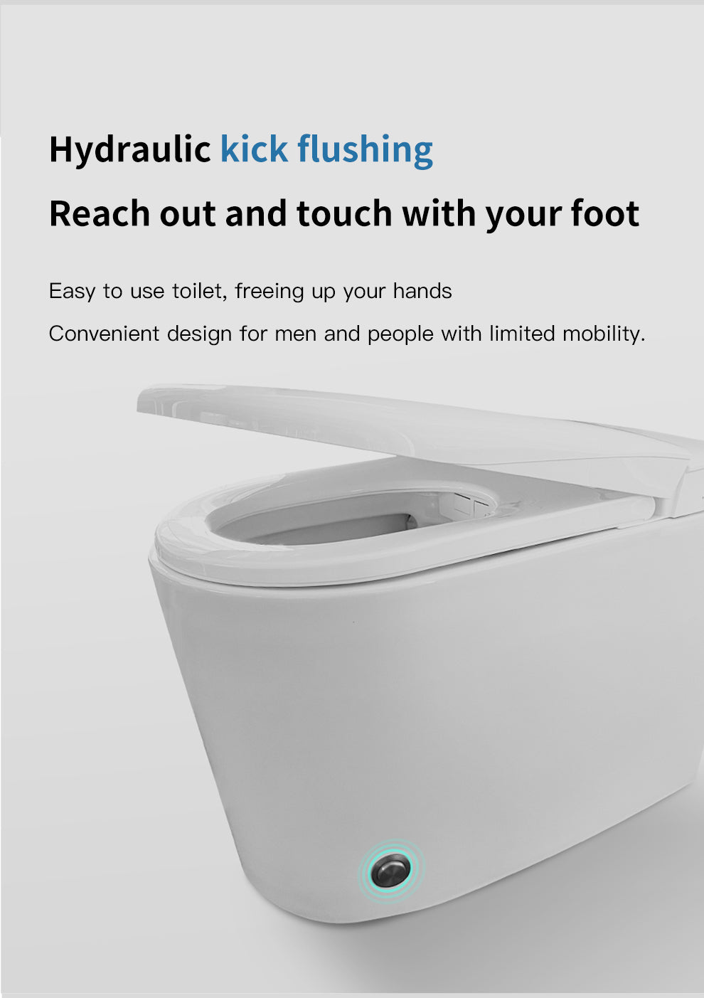 Junsui Japanese Style Toilet & Bidet (Non-Electic)